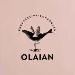 LONGBOARD 900 9'4" 74 L . Livré Avec 1 Aileron 10". 16 LONGBOARD 900 9'4" 74 L . Livré Avec 1 Aileron 10". -Surf Soldes Magasin longboard 900 94 74 l livre avec 1 aileron 10 6